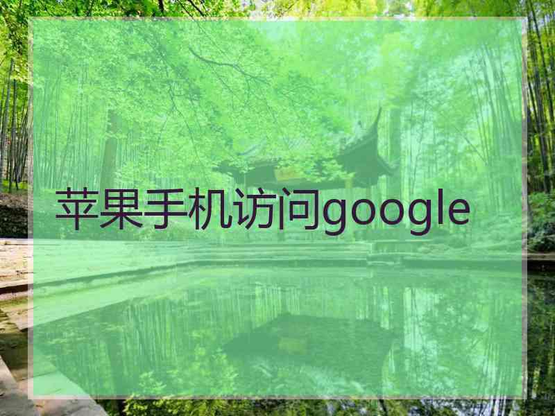 苹果手机访问google