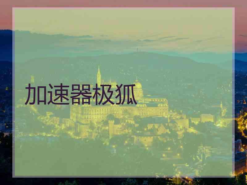 加速器极狐