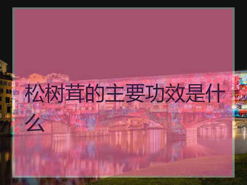 松树茸的主要功效是什么