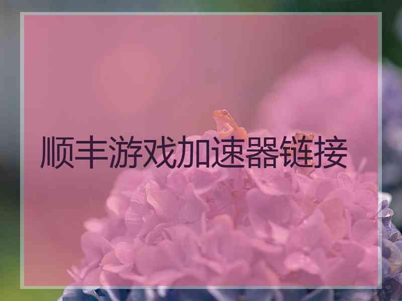 顺丰游戏加速器链接