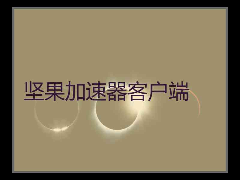 坚果加速器客户端