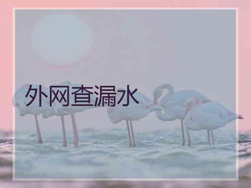 外网查漏水