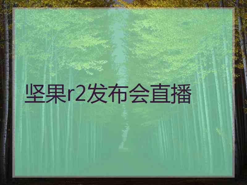 坚果r2发布会直播