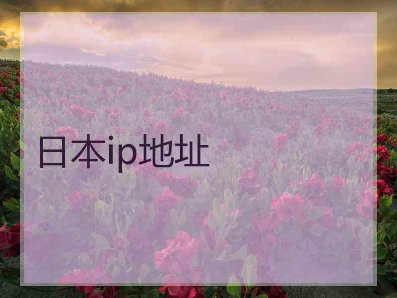 日本ip地址