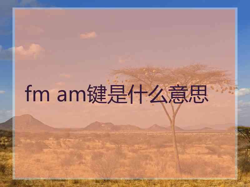 fm am键是什么意思