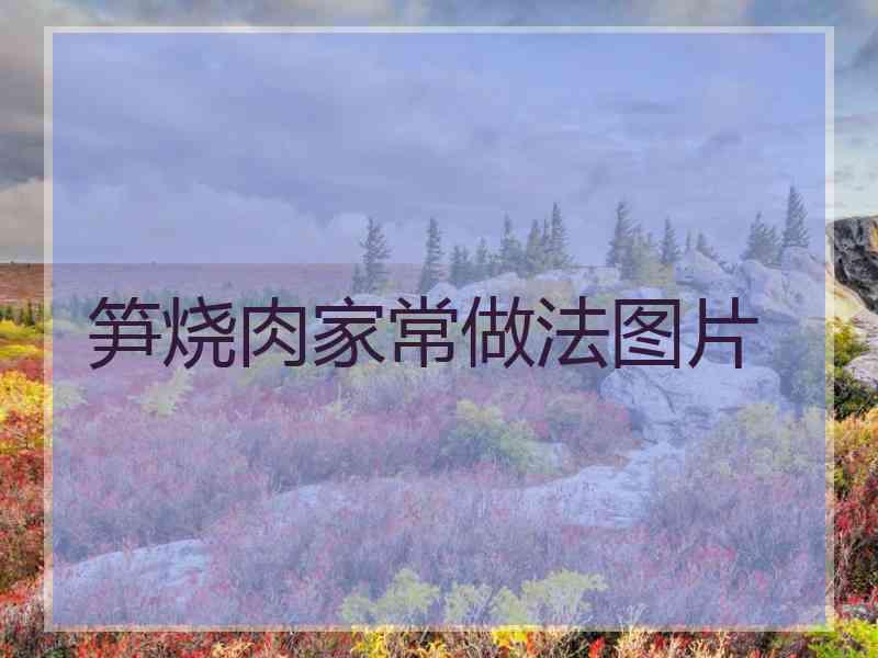 笋烧肉家常做法图片