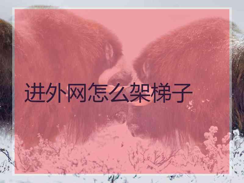 进外网怎么架梯子
