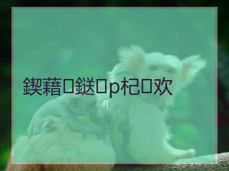 鍥藉鎹p杞欢
