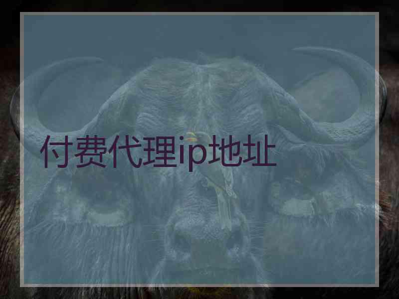 付费代理ip地址
