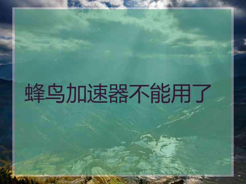 蜂鸟加速器不能用了