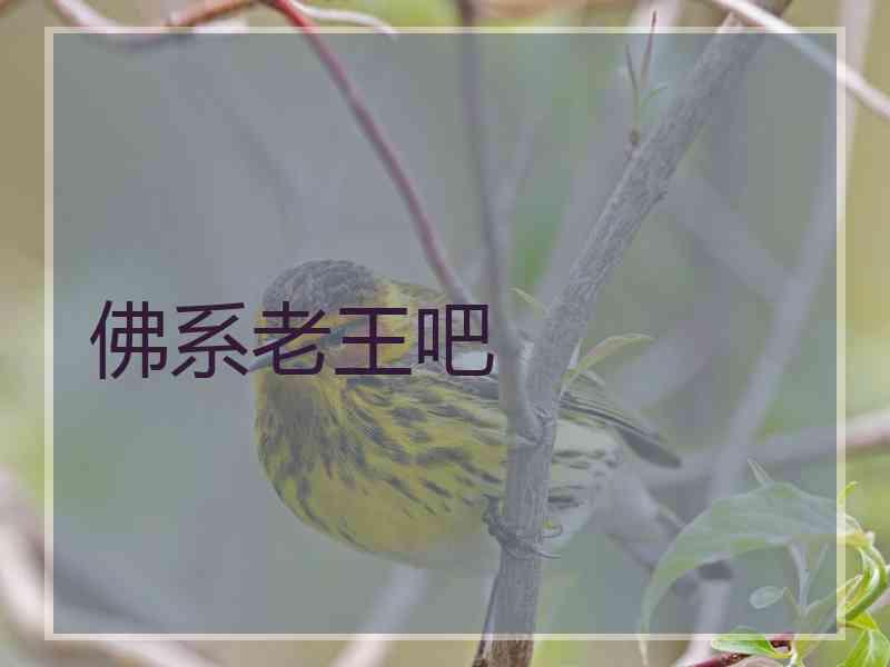 佛系老王吧