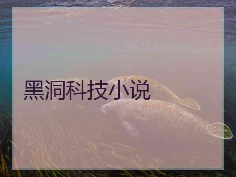 黑洞科技小说