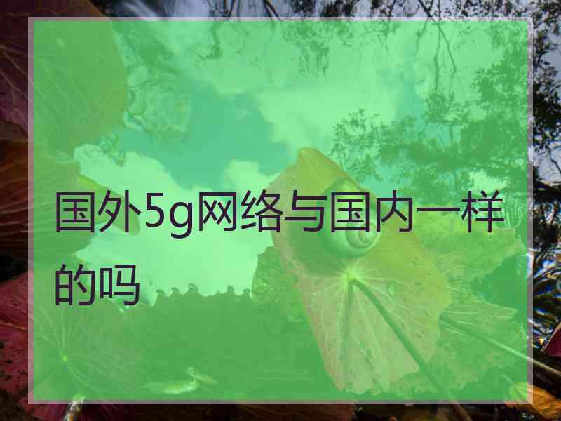 国外5g网络与国内一样的吗