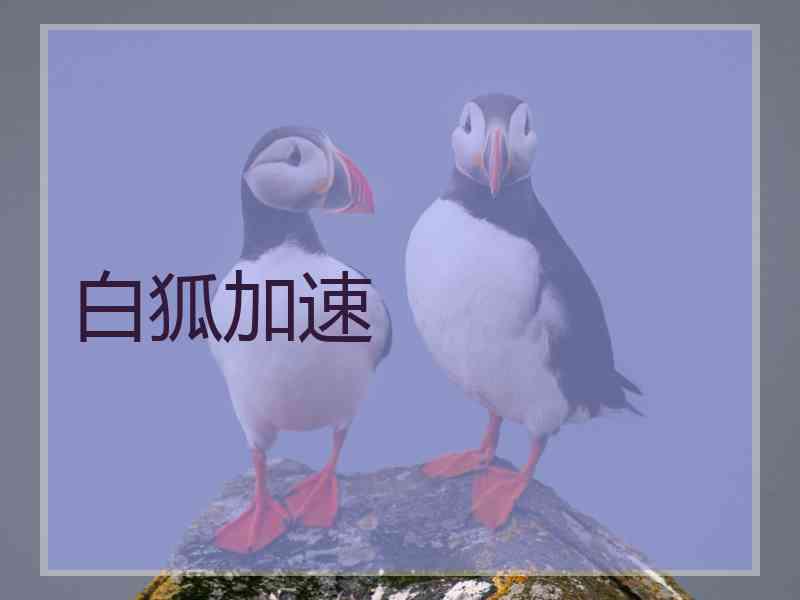 白狐加速