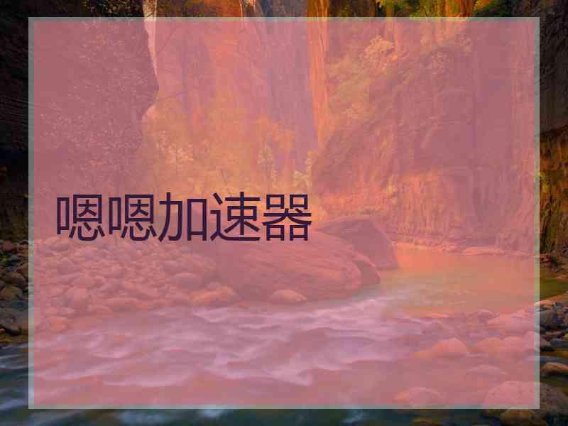 嗯嗯加速器