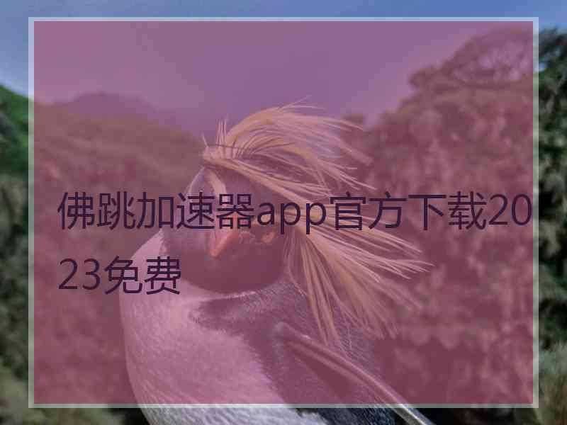 佛跳加速器app官方下载2023免费