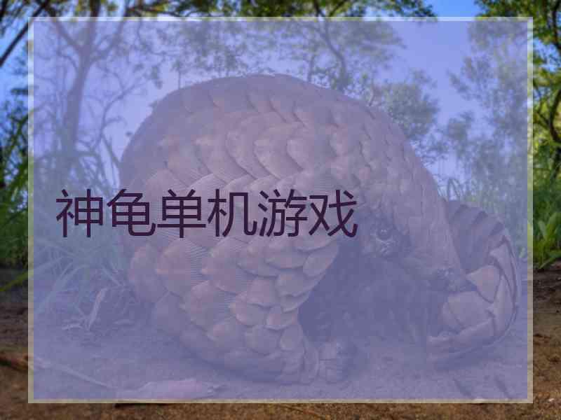神龟单机游戏