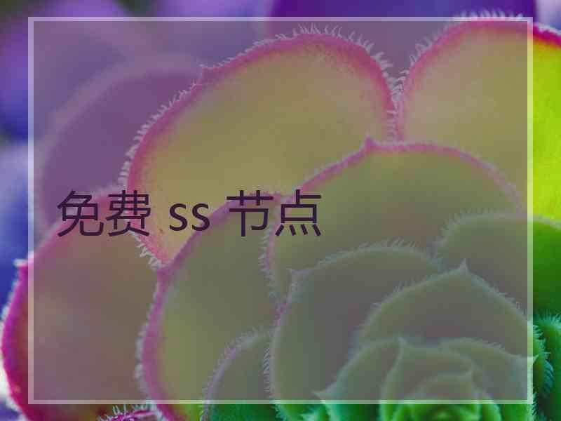 免费 ss 节点