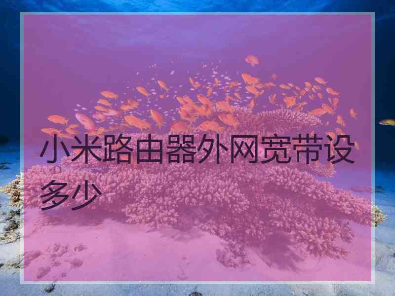 小米路由器外网宽带设多少