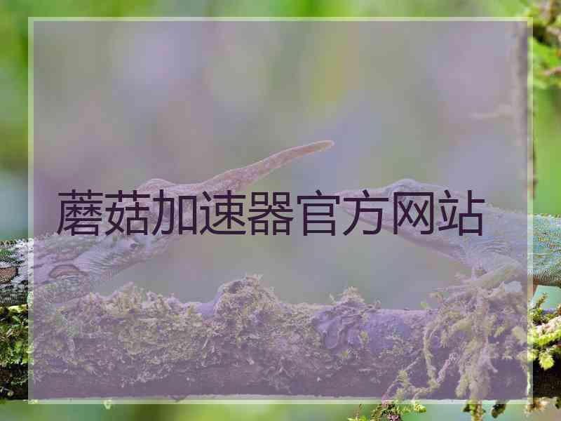 蘑菇加速器官方网站