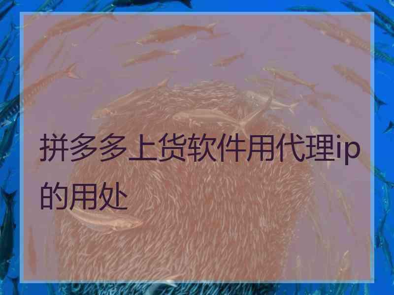 拼多多上货软件用代理ip的用处
