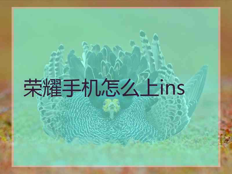 荣耀手机怎么上ins