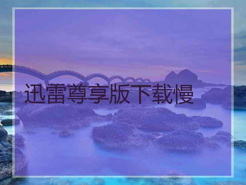迅雷尊享版下载慢