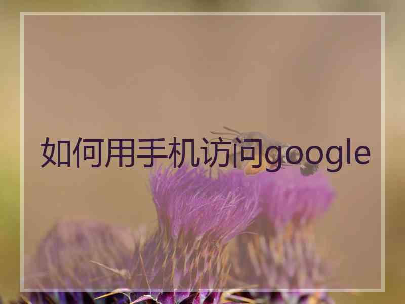 如何用手机访问google