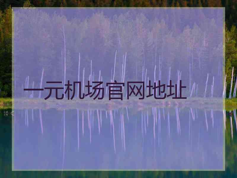 一元机场官网地址
