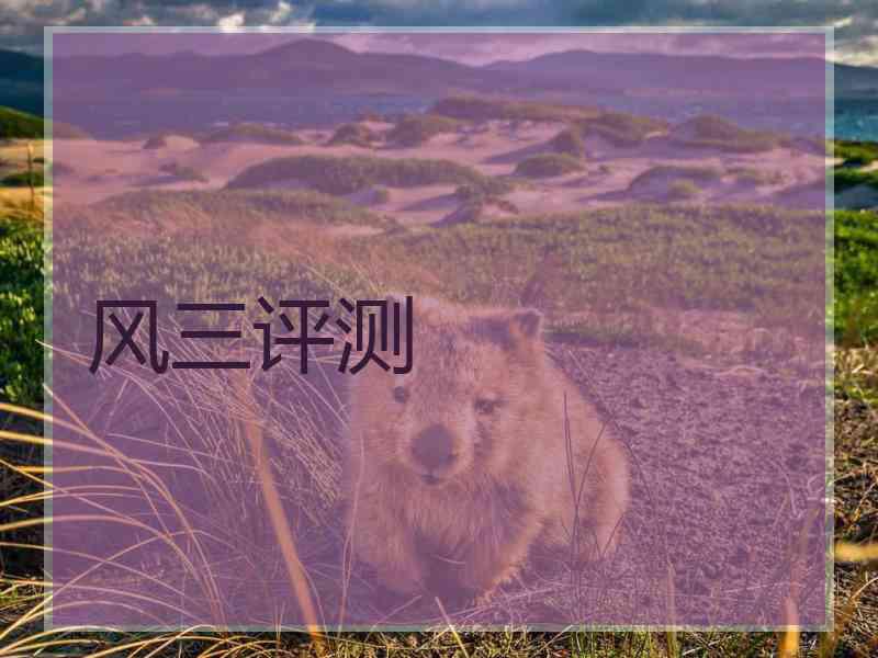 风三评测