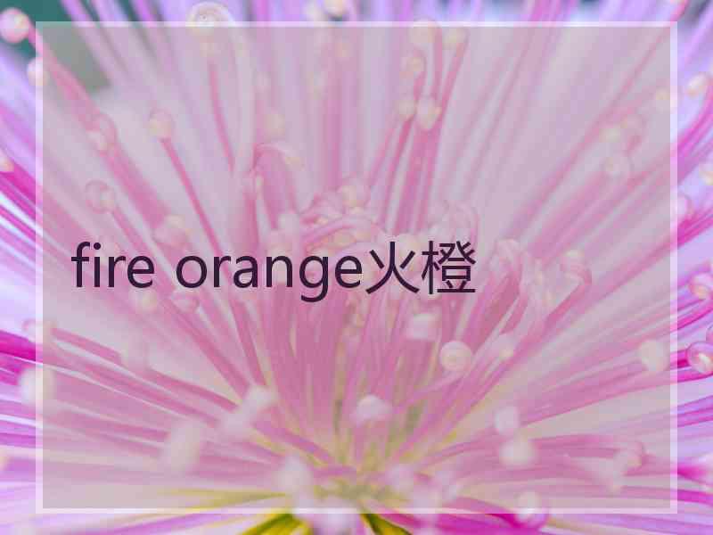 fire orange火橙