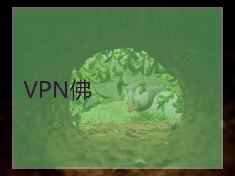 VPN佛