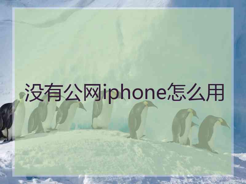 没有公网iphone怎么用