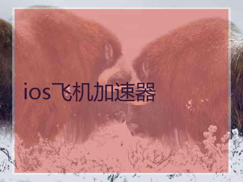 ios飞机加速器