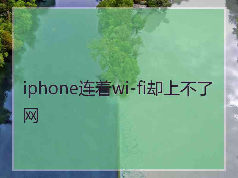 iphone连着wi-fi却上不了网