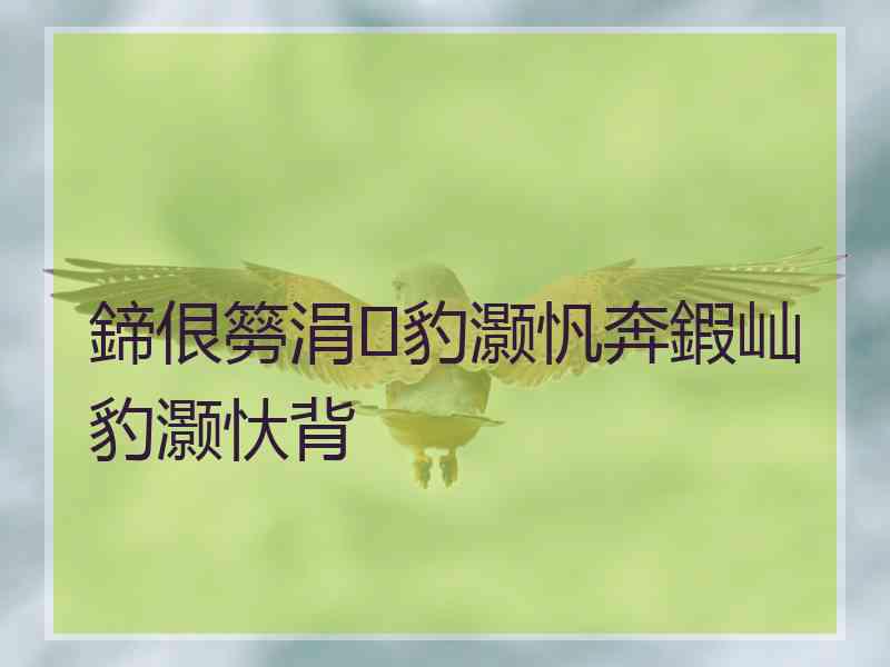 鍗佷簩涓豹灏忛奔鍜屾豹灏忕背