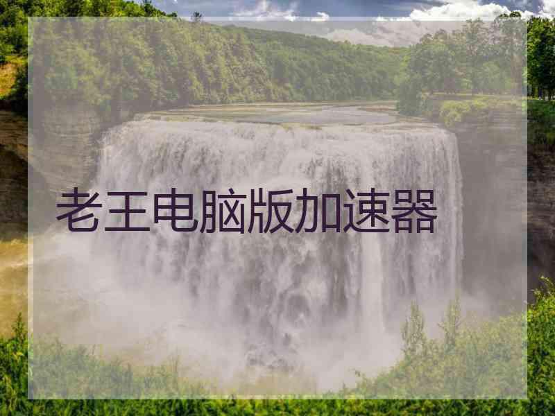 老王电脑版加速器