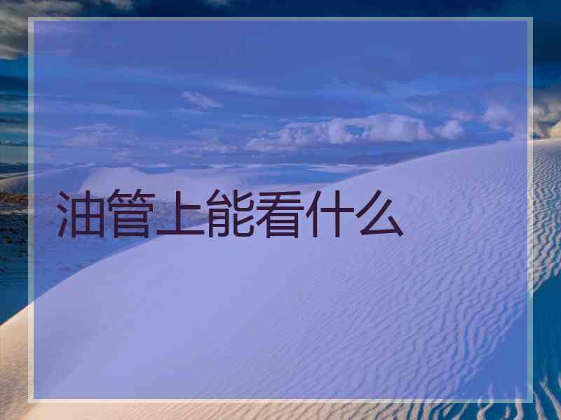 油管上能看什么
