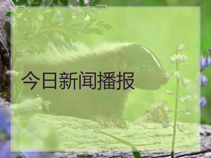 今日新闻播报