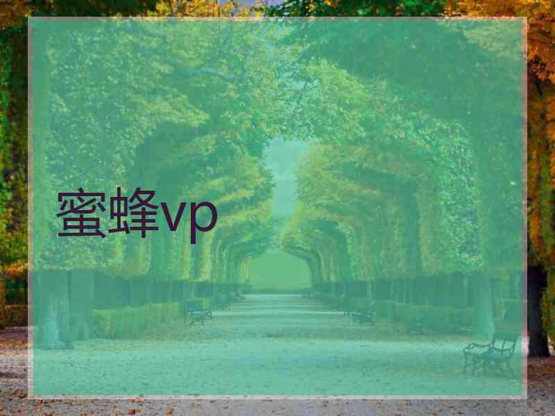 蜜蜂vp