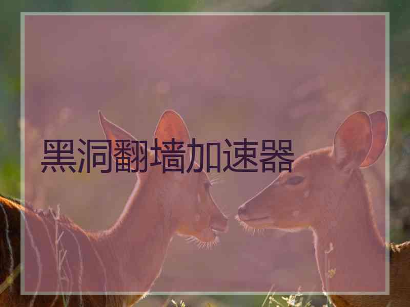 黑洞翻墙加速器