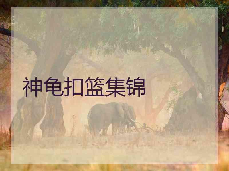 神龟扣篮集锦