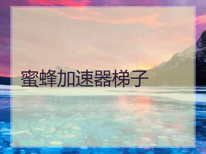 蜜蜂加速器梯子
