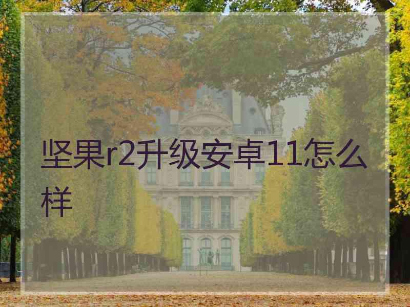 坚果r2升级安卓11怎么样