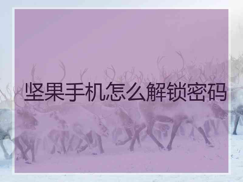 坚果手机怎么解锁密码