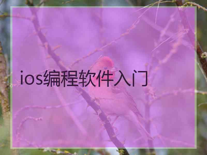 ios编程软件入门
