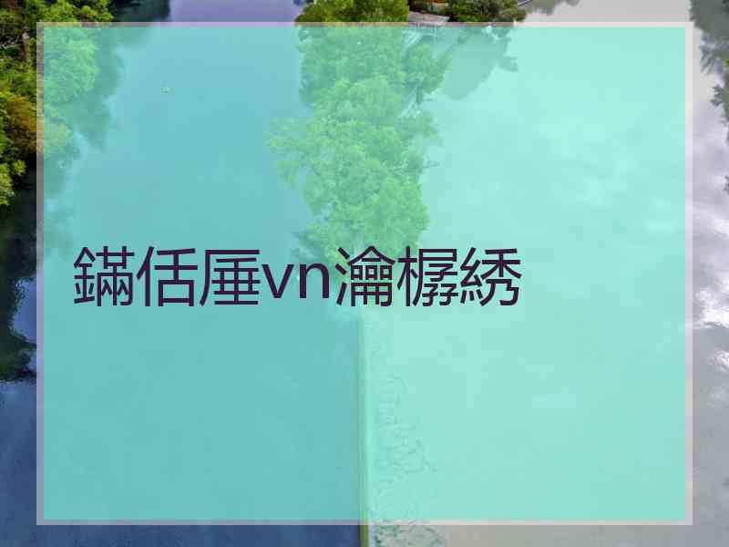 鏋佸厜vn瀹樼綉