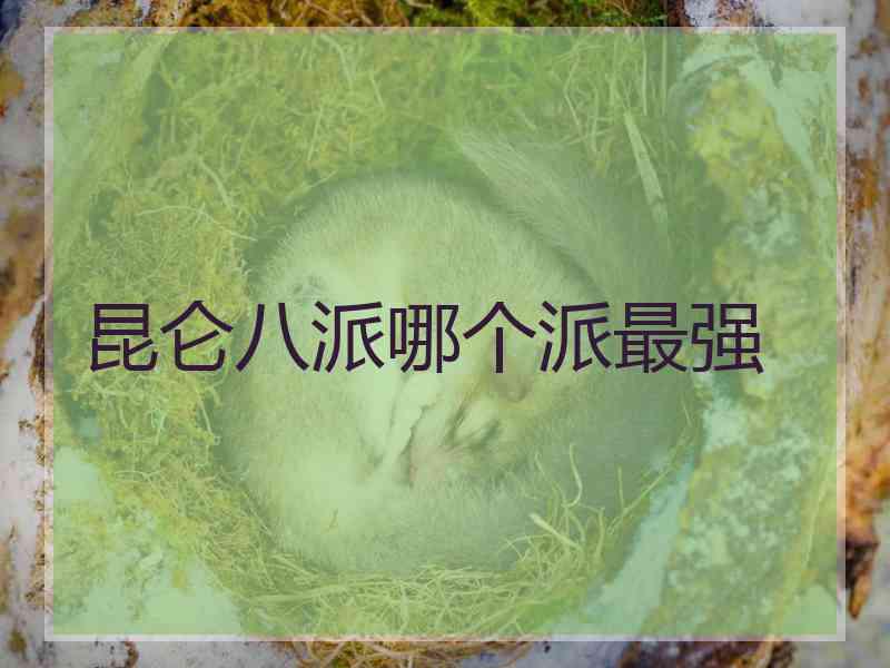 昆仑八派哪个派最强