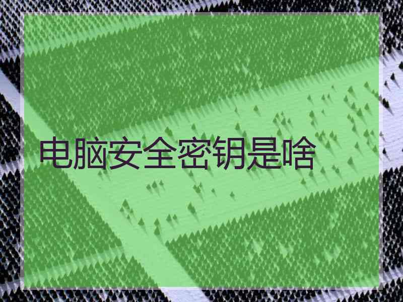 电脑安全密钥是啥