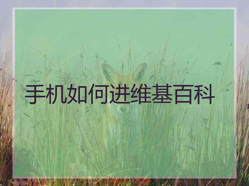 手机如何进维基百科